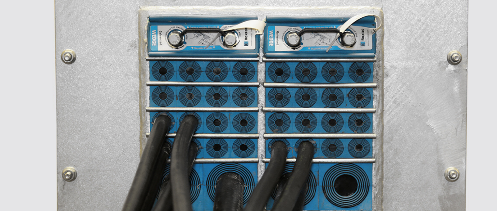 Seals for Irish whiskey maker