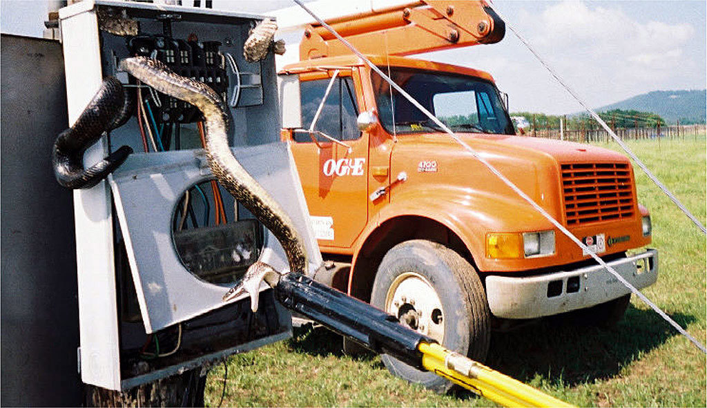 Prevent snakes with multi cable transits from Roxtec