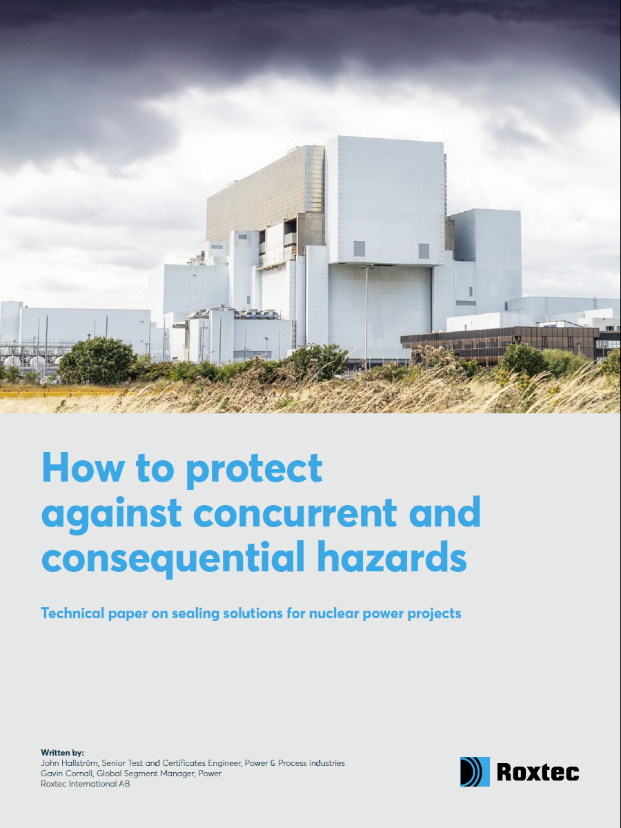 &quot;C&#xF3;mo protegerse frente a peligros simult&#xE1;neos y en cascada&quot; - Documento t&#xE9;cnico del sector nuclear