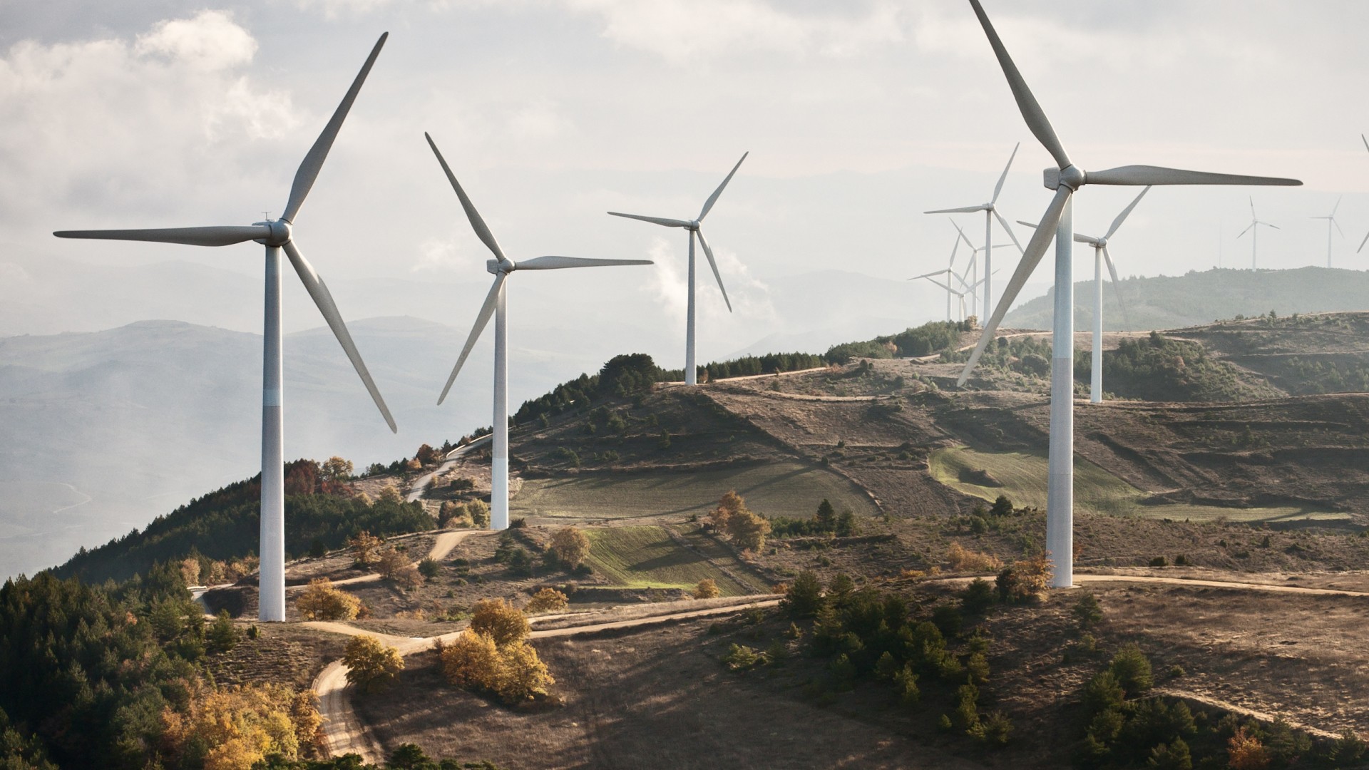 Explore Repeat order