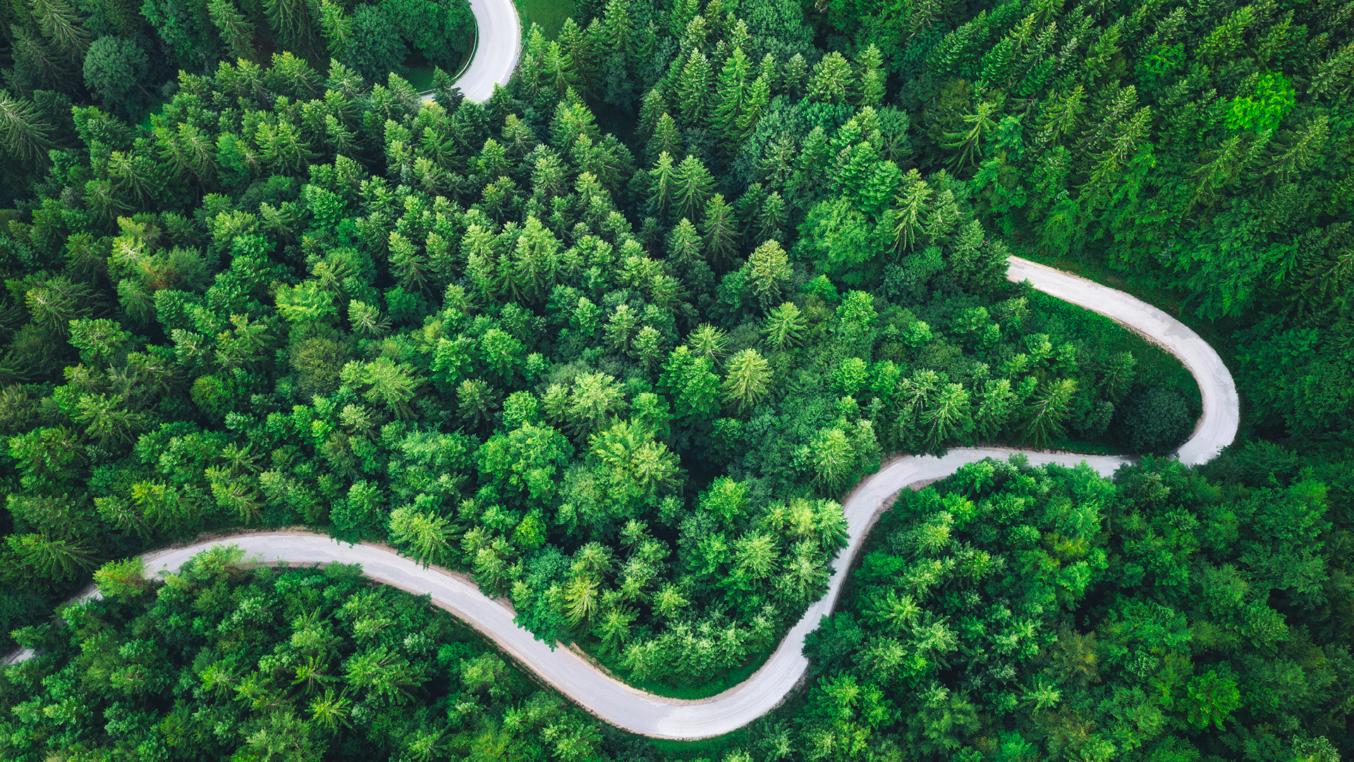 Climate and environment