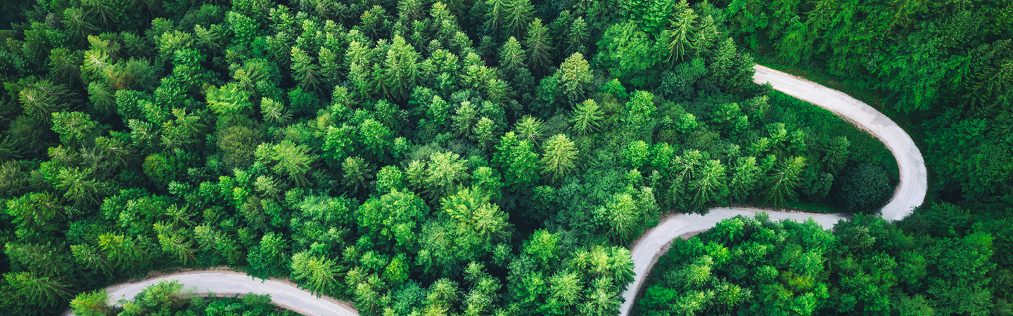 Climate and environment