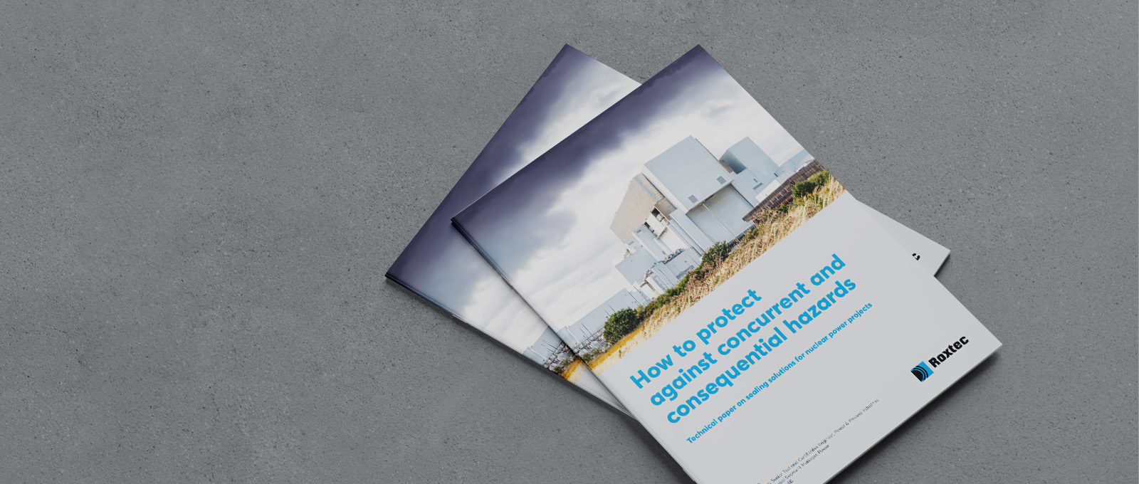 Compartiendo experiencia en sellado con el sector de la energ&#xED;a nuclear 