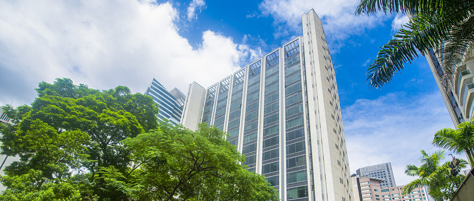 Sellos y herramientas creadas para dise&#xF1;adores &#x2013; LZA Engenharia, Brasil