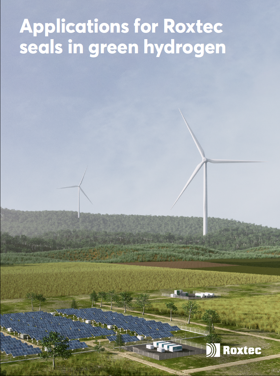 Applications for Roxtec seals in green hydrogen